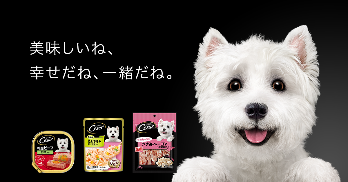 成犬用 ｜ 製品情報 ｜ Cesar® Japan Website
