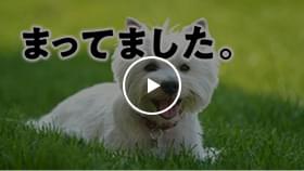 モーダルウィンドウで開く